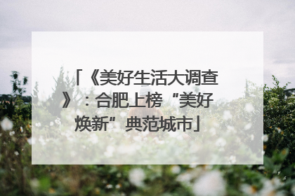 《美好生活大调查》：合肥上榜“美好焕新”典范城市