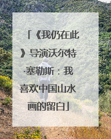 《我仍在此》导演沃尔特·塞勒斯：我喜欢中国山水画的留白