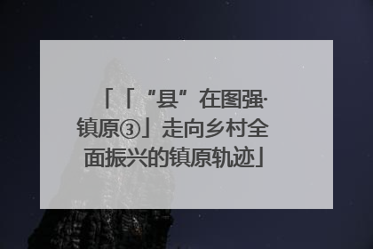 「“县”在图强·镇原③」走向乡村全面振兴的镇原轨迹