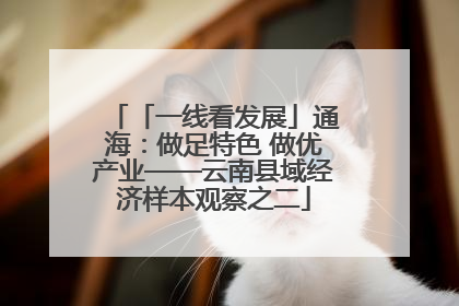 「一线看发展」通海：做足特色 做优产业——云南县域经济样本观察之二
