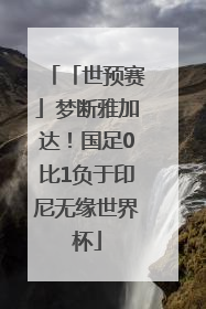 「世预赛」梦断雅加达！国足0比1负于印尼无缘世界杯