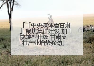 「中央媒体看甘肃」聚焦集群建设 加快转型升级 甘肃支柱产业增势强劲