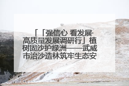 「强信心 看发展·高质量发展调研行」植树固沙护绿洲——武威市治沙造林筑牢生态安全屏障见闻