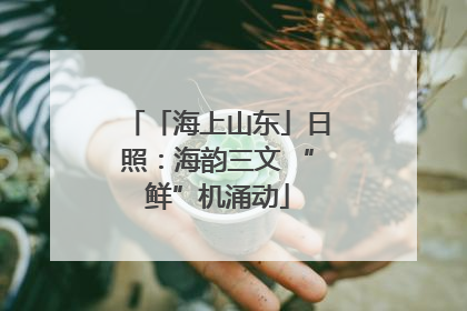 「海上山东」日照：海韵三文 “鲜”机涌动
