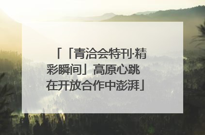 「青洽会特刊·精彩瞬间」高原心跳 在开放合作中澎湃