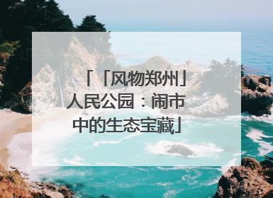 「风物郑州」人民公园：闹市中的生态宝藏
