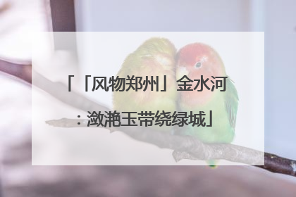 「风物郑州」金水河：潋滟玉带绕绿城
