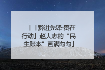 「黔进先锋·贵在行动」赵大志的“民生账本”画满勾勾
