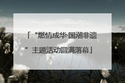 “燃情成华·国潮非遗”主题活动圆满落幕