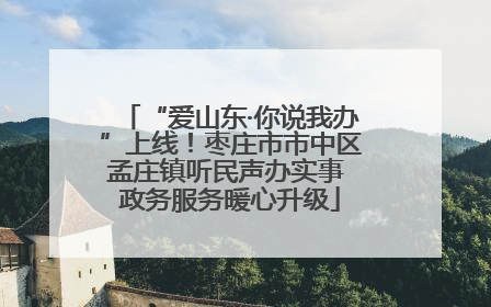 “爱山东·你说我办”上线！枣庄市市中区孟庄镇听民声办实事 政务服务暖心升级