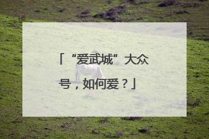 “爱武城”大众号，如何爱？