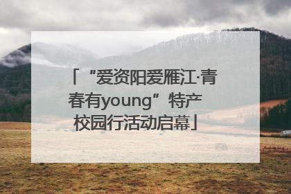 “爱资阳爱雁江·青春有young”特产校园行活动启幕