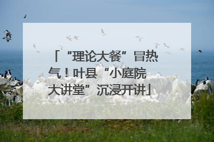 “理论大餐”冒热气！叶县“小庭院 大讲堂”沉浸开讲