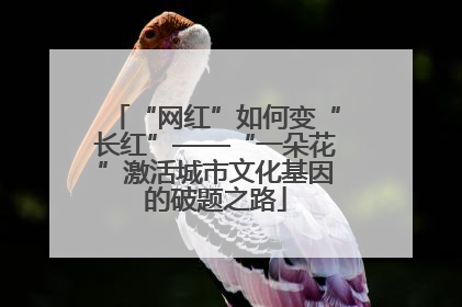 “网红”如何变“长红”——“一朵花”激活城市文化基因的破题之路