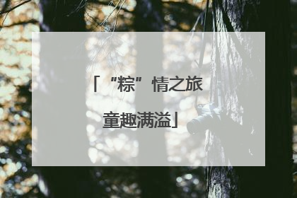 “粽”情之旅 童趣满溢