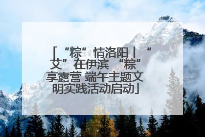 “粽”情洛阳丨“艾”在伊滨 “粽”享露营 端午主题文明实践活动启动