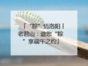 “粽”情洛阳丨老君山：邀您“粽”享端午之约