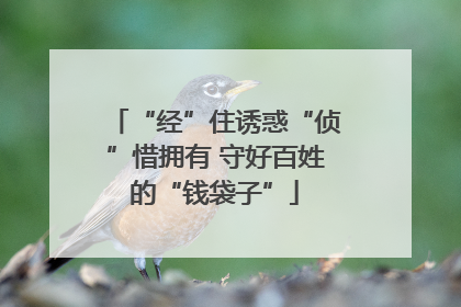 “经”住诱惑“侦”惜拥有 守好百姓的“钱袋子”