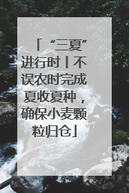 “三夏”进行时丨不误农时完成夏收夏种，确保小麦颗粒归仓