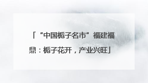 “中国栀子名市”福建福鼎：栀子花开，产业兴旺