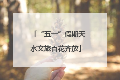 “五一”假期天水文旅百花齐放