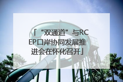 “双通道”与RCEP口岸协同发展推进会在怀化召开