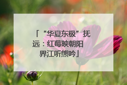 “华夏东极”抚远：红莓映朝阳 界江听熊吟