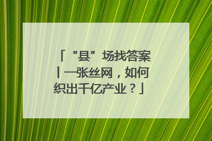 “县”场找答案丨一张丝网，如何织出千亿产业？