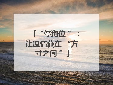 “停狗位 ”：让温情藏在 “方寸之间 ”