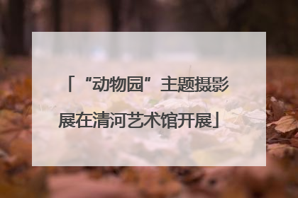 “动物园”主题摄影展在清河艺术馆开展