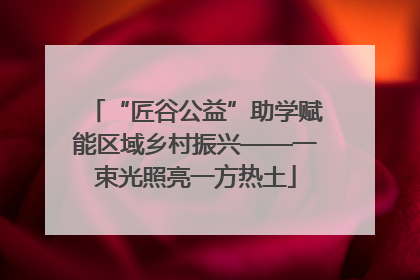 “匠谷公益”助学赋能区域乡村振兴——一束光照亮一方热土