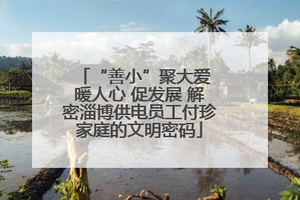 “善小”聚大爱 暖人心 促发展 解密淄博供电员工付珍家庭的文明密码