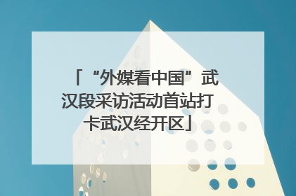“外媒看中国”武汉段采访活动首站打卡武汉经开区