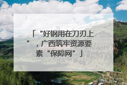 “好钢用在刀刃上”，广西筑牢资源要素“保障网”