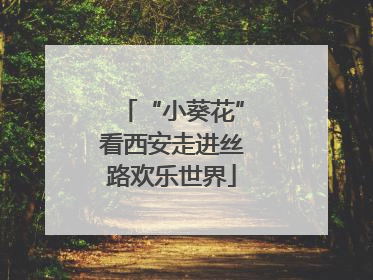 “小葵花”看西安走进丝路欢乐世界