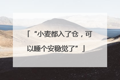 “小麦都入了仓，可以睡个安稳觉了”