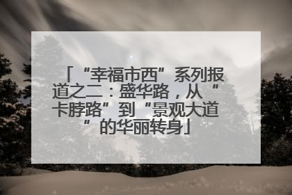 “幸福市西”系列报道之二：盛华路，从“卡脖路”到“景观大道”的华丽转身