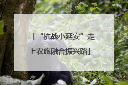 “抗战小延安”走上农旅融合振兴路