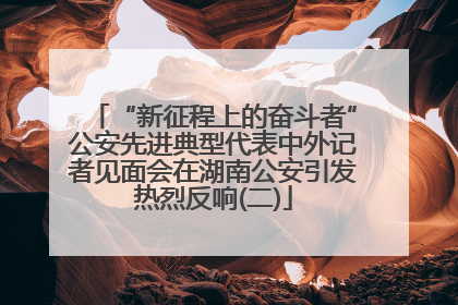 “新征程上的奋斗者”公安先进典型代表中外记者见面会在湖南公安引发热烈反响(二)