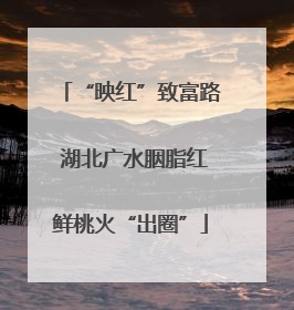 “映红”致富路 湖北广水胭脂红鲜桃火“出圈”