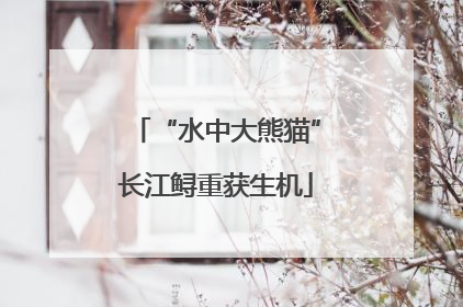 “水中大熊猫”长江鲟重获生机