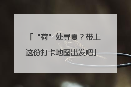 “荷”处寻夏？带上这份打卡地图出发吧