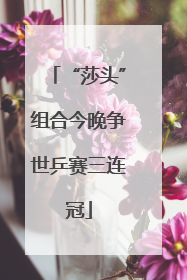“莎头”组合今晚争世乒赛三连冠