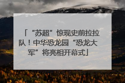 “苏超”惊现史前拉拉队！中华恐龙园“恐龙大军”将亮相开幕式