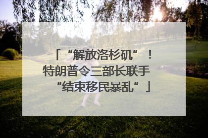 “解放洛杉矶”！特朗普令三部长联手“结束移民暴乱”