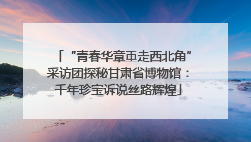 “青春华章重走西北角”采访团探秘甘肃省博物馆：千年珍宝诉说丝路辉煌