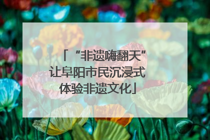 “非遗嗨翻天”让阜阳市民沉浸式体验非遗文化