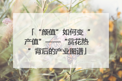 “颜值”如何变“产值”——“赏花热”背后的产业图谱