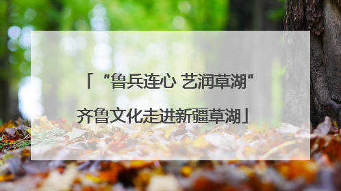 “鲁兵连心 艺润草湖” 齐鲁文化走进新疆草湖