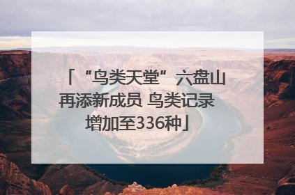 “鸟类天堂”六盘山再添新成员 鸟类记录增加至336种